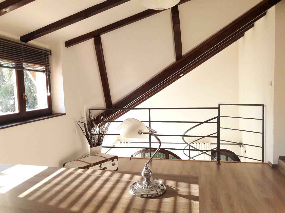 Spacious Apartment "Ana" On Lake Sabljaci أوغولين المظهر الخارجي الصورة